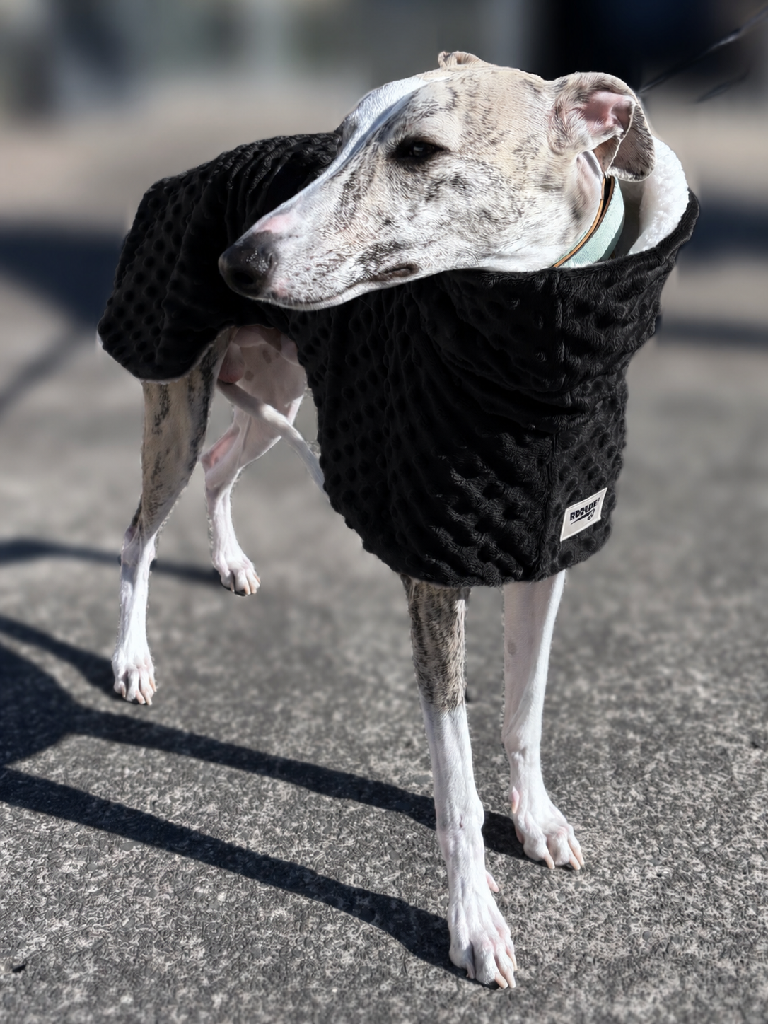 Whippet deluxe style coat in super soft minky fleece