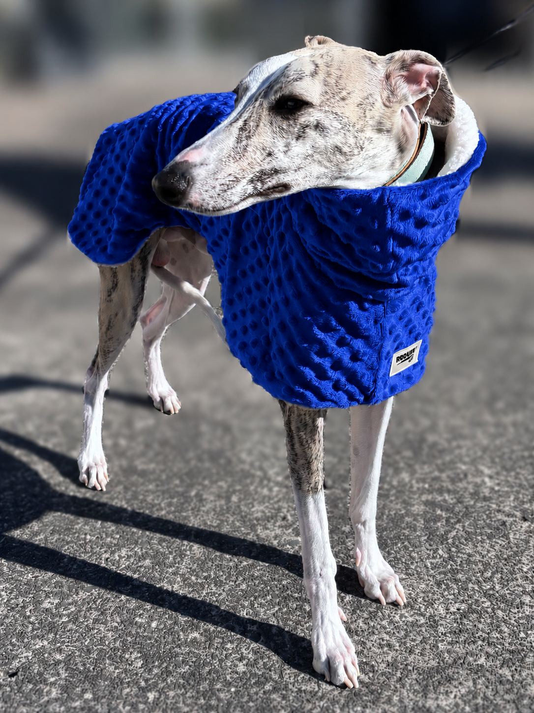 Whippet deluxe style coat in super soft minky fleece