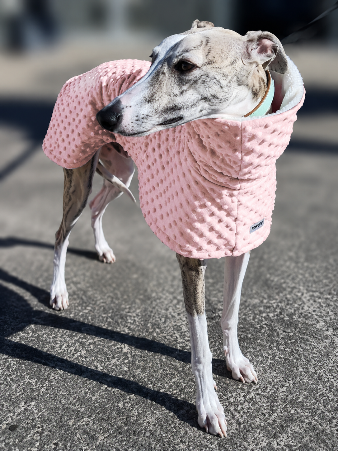 Whippet deluxe style coat in super soft minky fleece