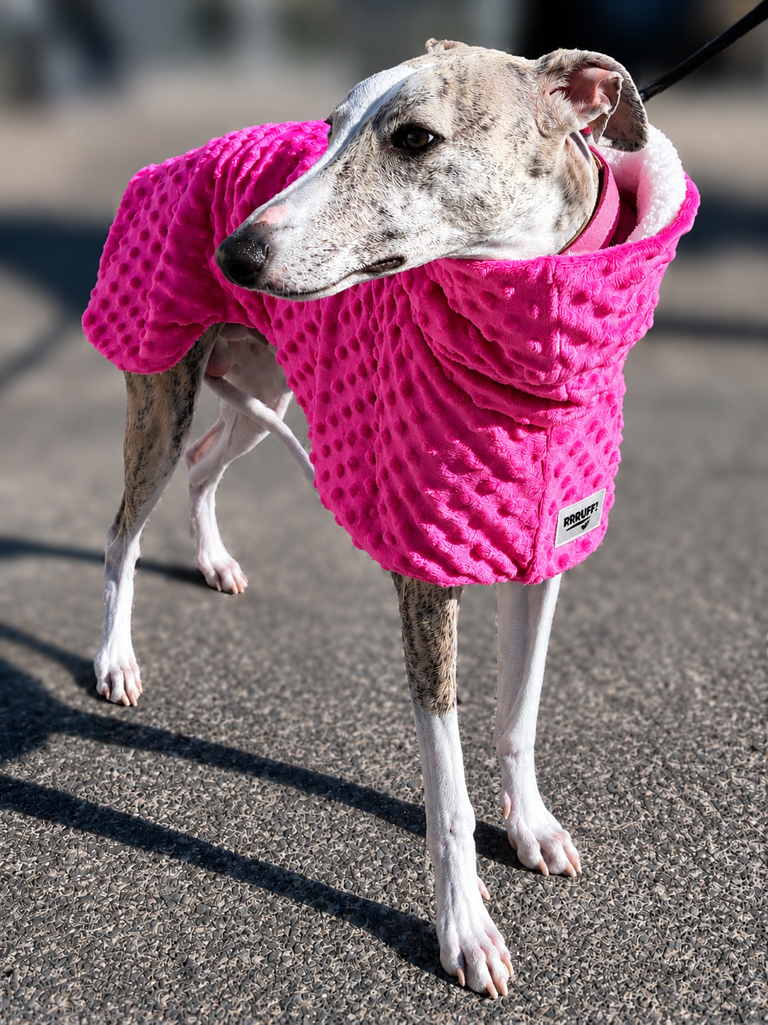 Whippet deluxe style coat in super soft minky fleece
