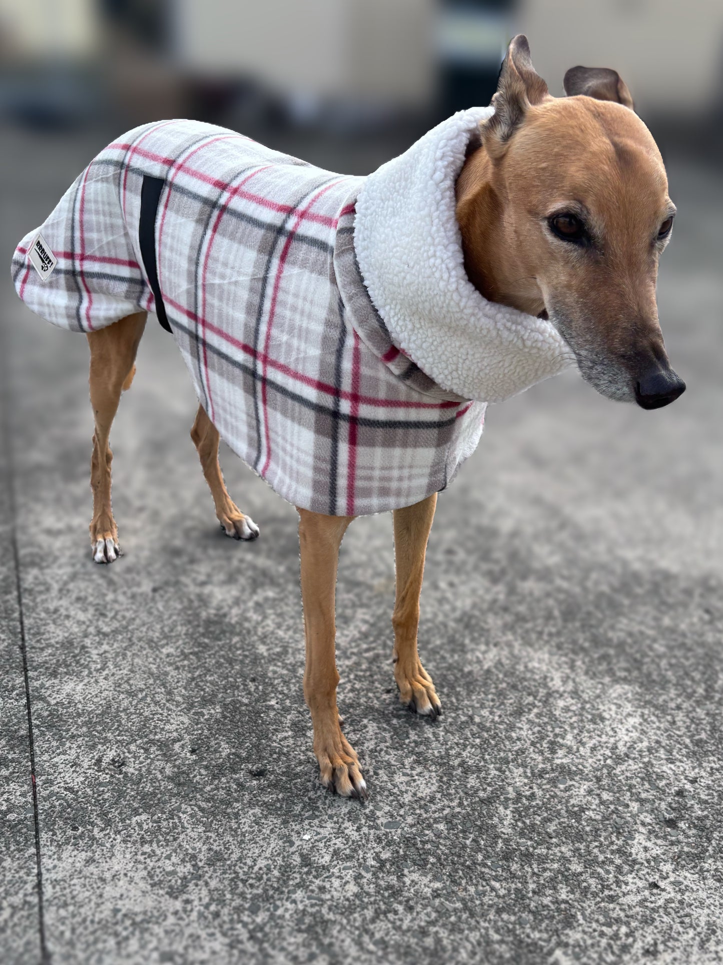 The blush plaid Lumberjack Greyhound & whippet deluxe coat with Sherpa inner