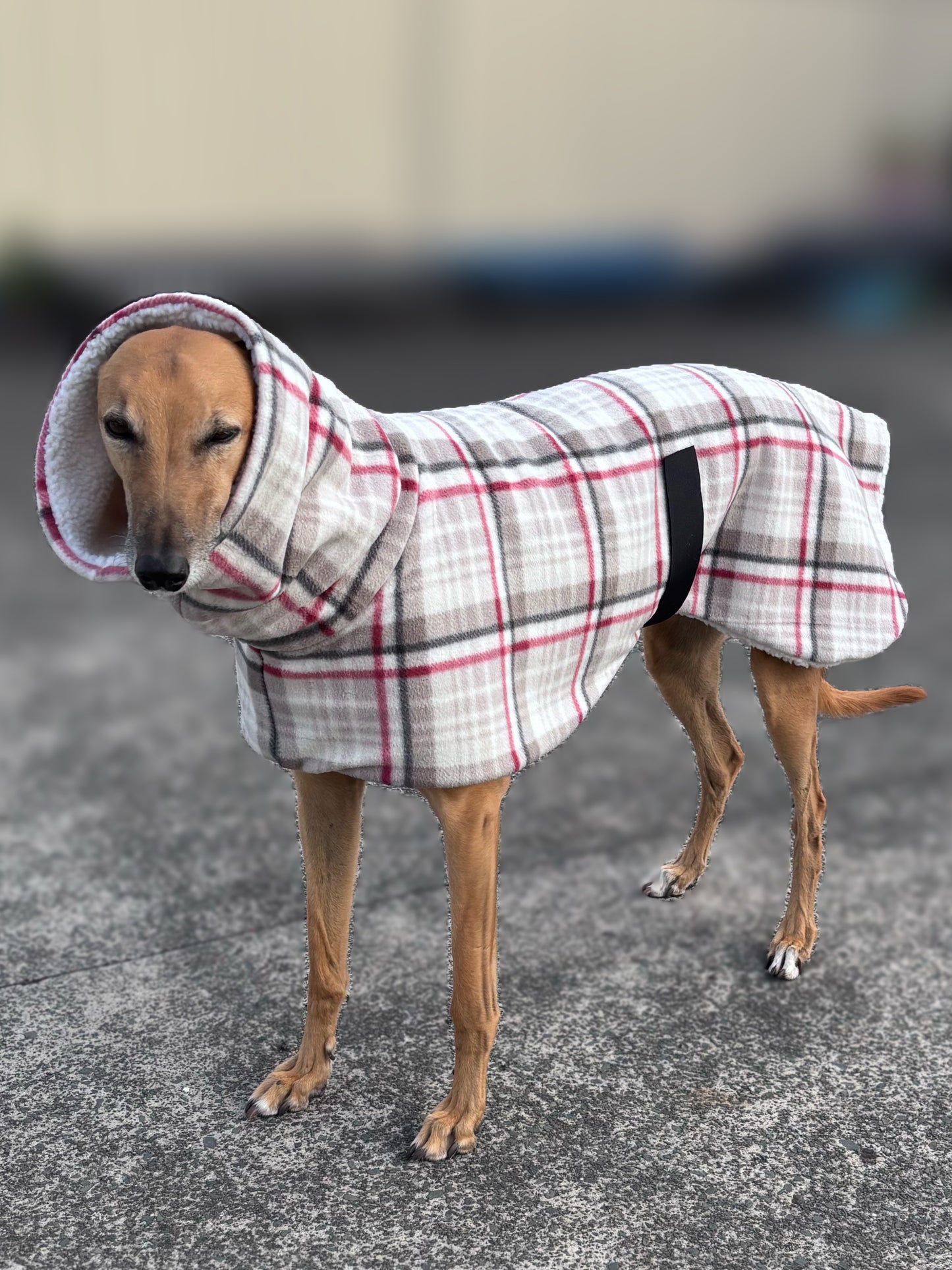 The blush plaid Lumberjack Greyhound & whippet deluxe coat with Sherpa inner