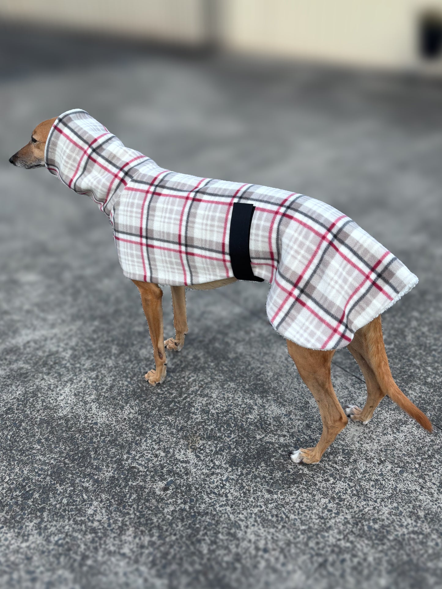 The blush plaid Lumberjack Greyhound & whippet deluxe coat with Sherpa inner