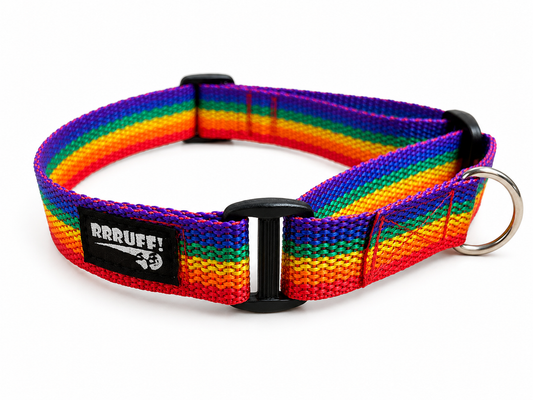 Rainbow lightweight house collar 20mm martingale style
