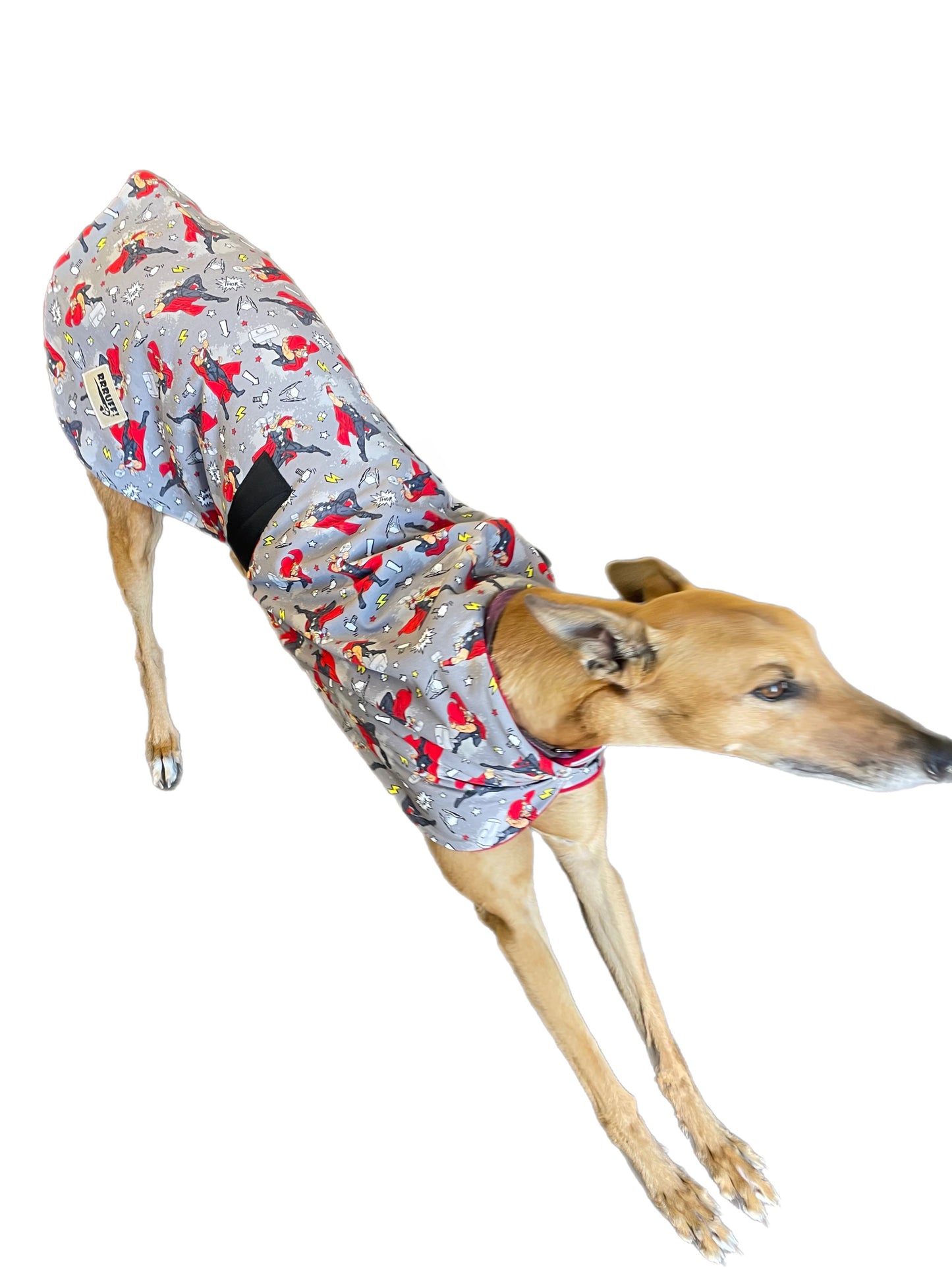 Thor Spring classic style Greyhound coat design in a sturdy cotton & lush fleece washable