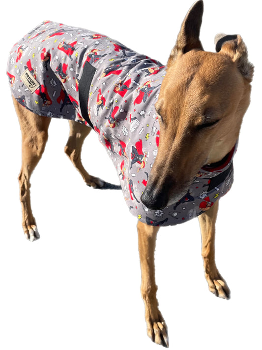 Thor Spring classic style Greyhound coat design in a sturdy cotton & lush fleece washable