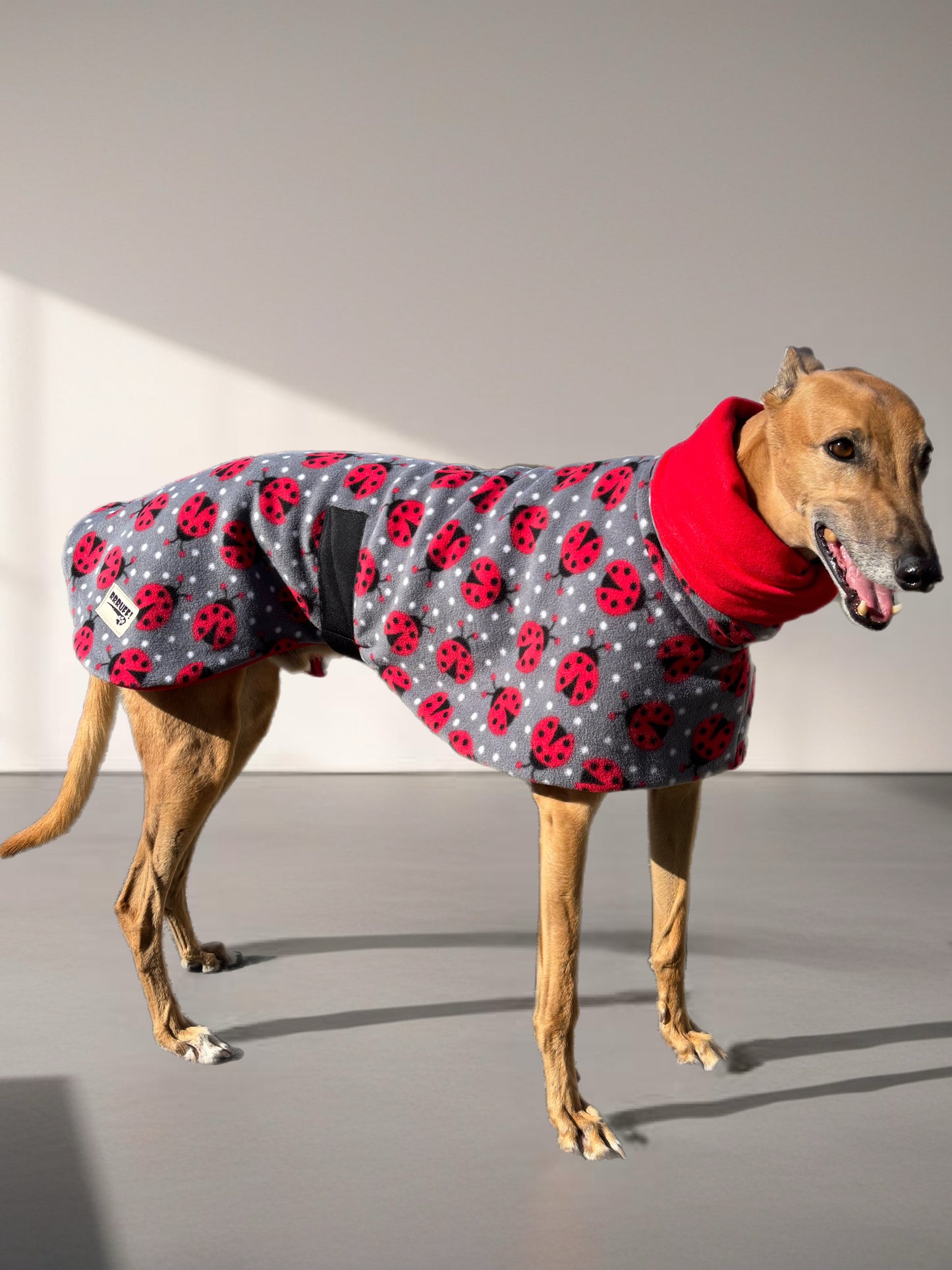 Ladybird Greyhound Deluxe coat rug, extra thick double polar fleece washable extra wide hoodie, limited edition