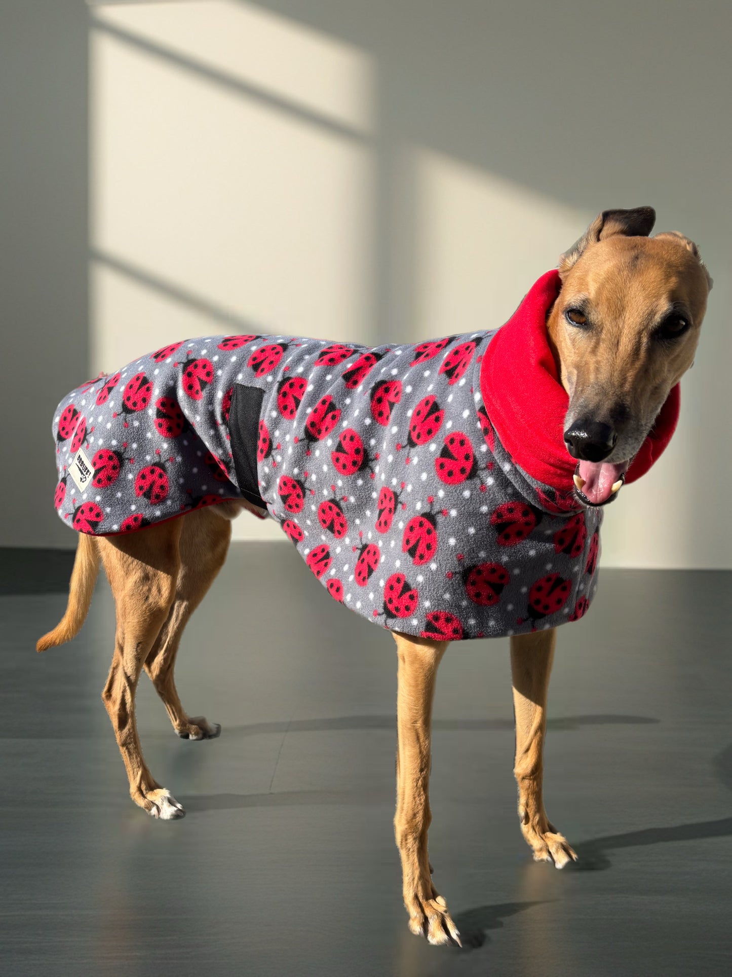 Ladybird Greyhound Deluxe coat rug, extra thick double polar fleece washable extra wide hoodie, limited edition