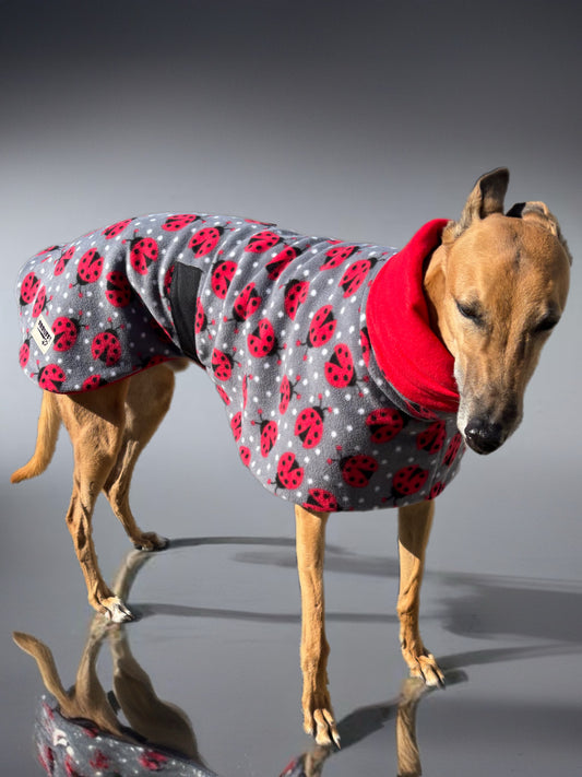 Ladybird Greyhound Deluxe coat rug, extra thick double polar fleece washable extra wide hoodie, limited edition