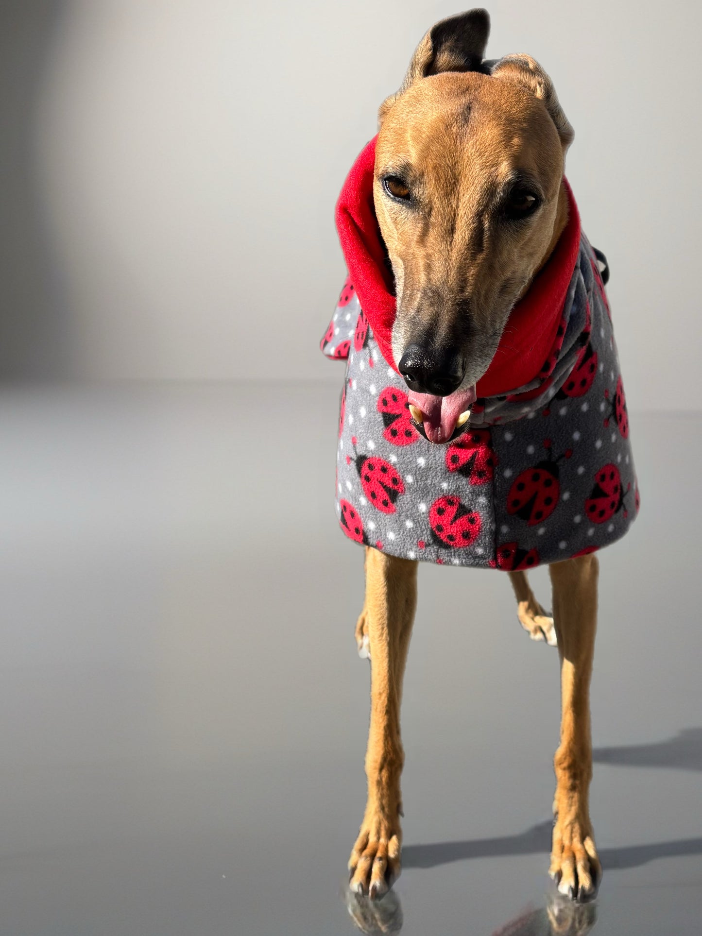 Ladybird Greyhound Deluxe coat rug, extra thick double polar fleece washable extra wide hoodie, limited edition