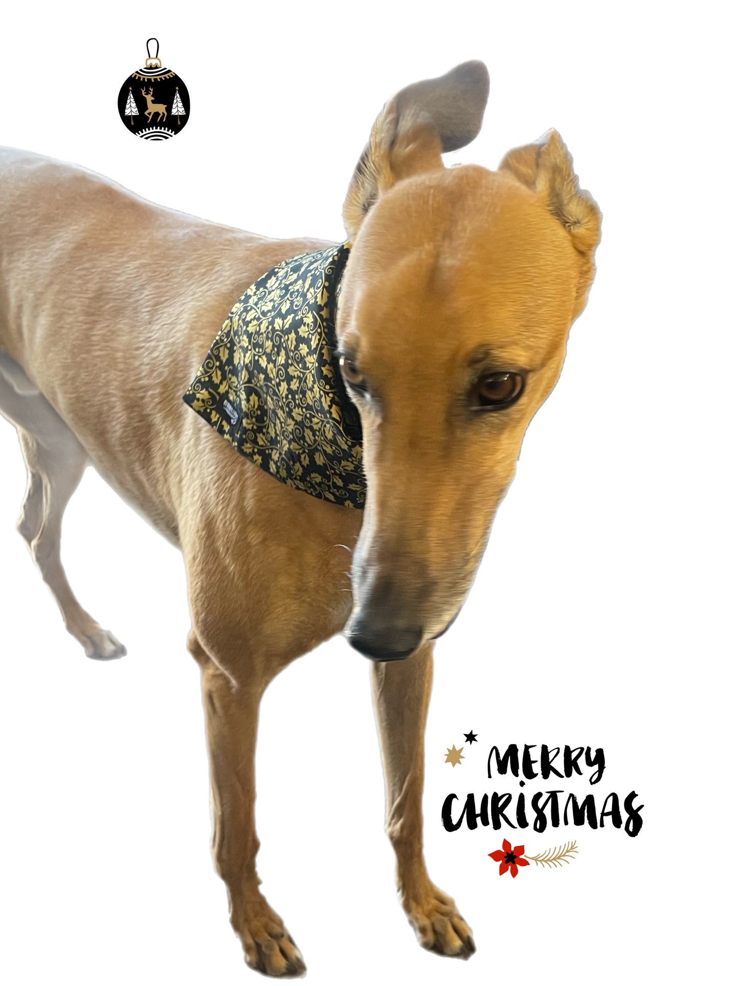 Christmas Bandana for the large dog greyhound staffy labrador double sided