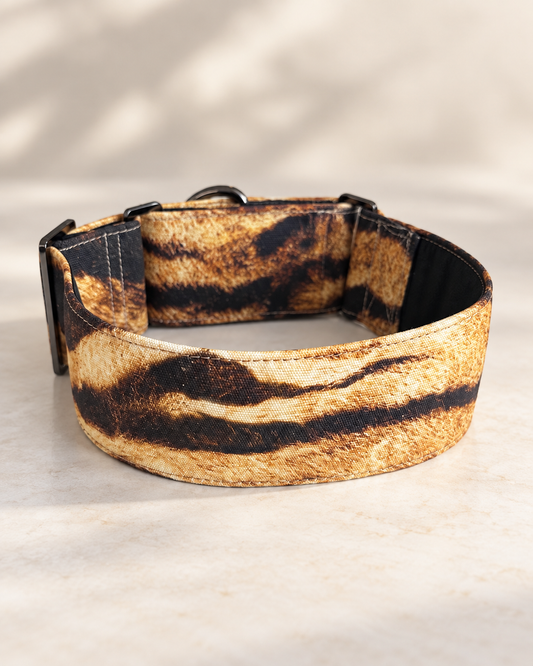 Tiger luxe martingale greyhound collar