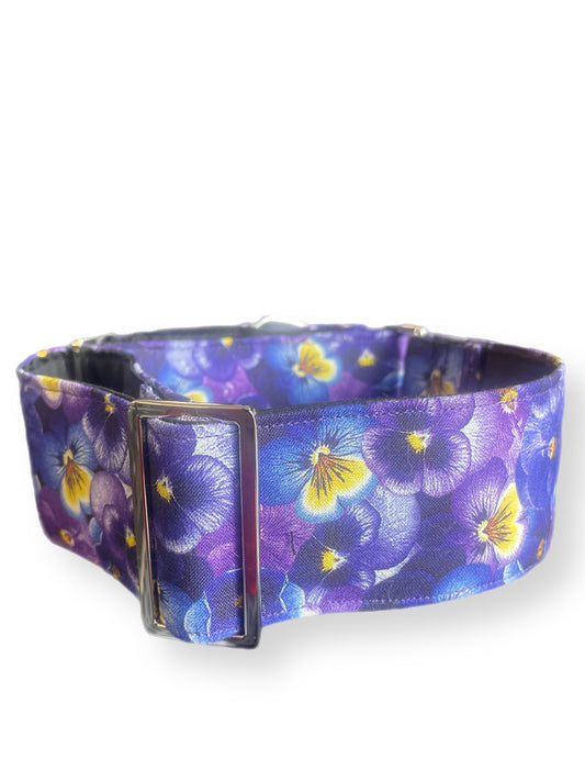 Beautiful pansies on rich purple greyhound Martingale collar cotton covered 50mm width