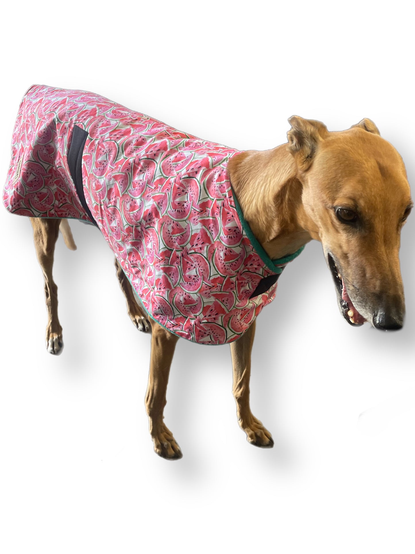 Summer/Autumn range classic style Greyhound ‘soft watermelon’ coat in lightweight cotton & plush fleece washable