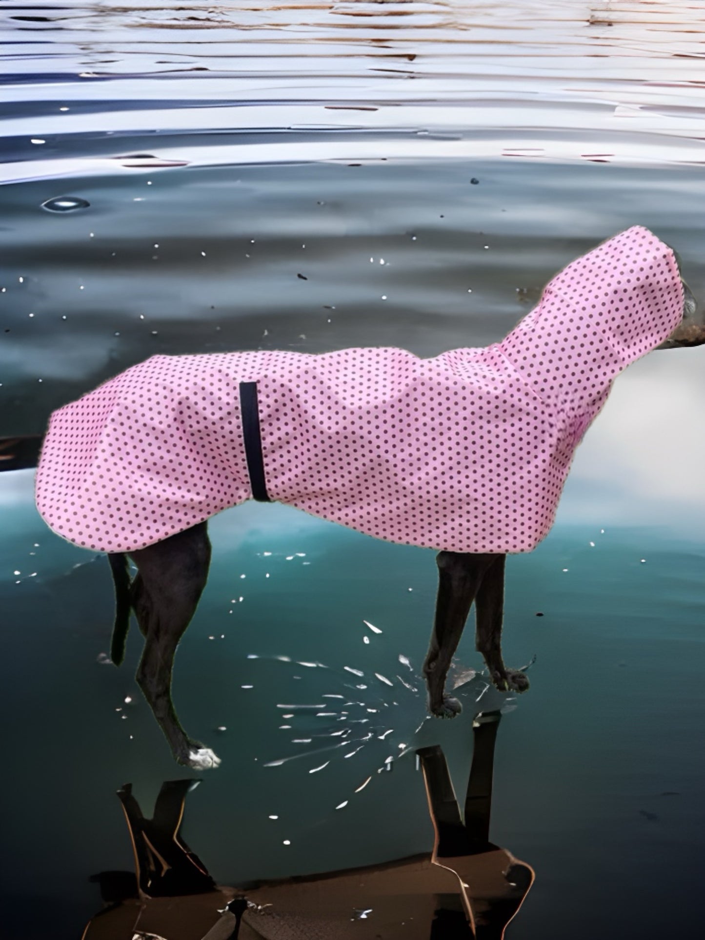 Pink with bronze dotty prints Greyhound coat deluxe style, summer rainwear, washable