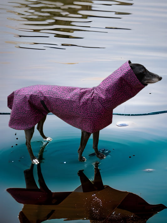 Purple leopard print Greyhound coat deluxe style, summer rainwear, washable