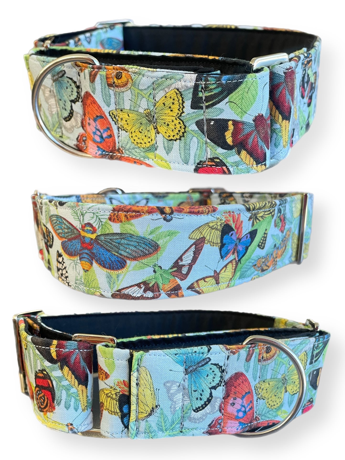 Butterflies on soft blue Cotton covered greyhound Martingale collar wide lightweight