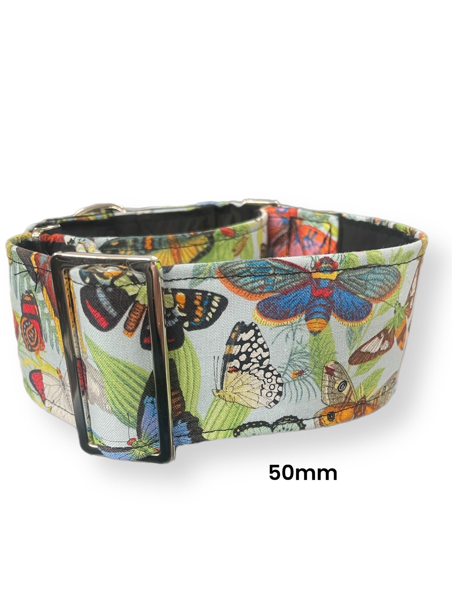 Butterflies on soft blue Cotton covered greyhound Martingale collar wide lightweight