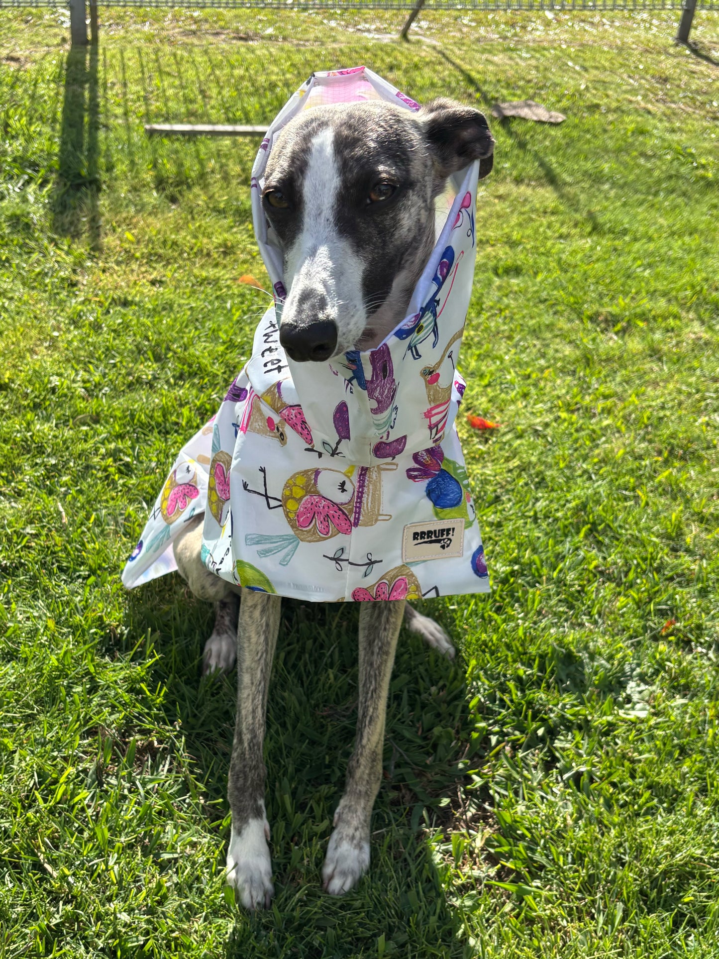 Cutest Summer rainwear Greyhound & whippet coat deluxe style, ultra lightweight,  washable