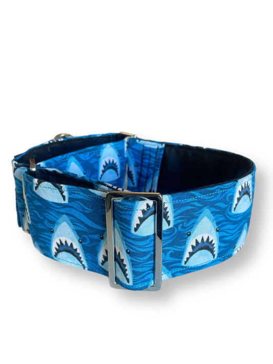 Sharks Greyhound Martingale collar blue cotton covered 50mm width