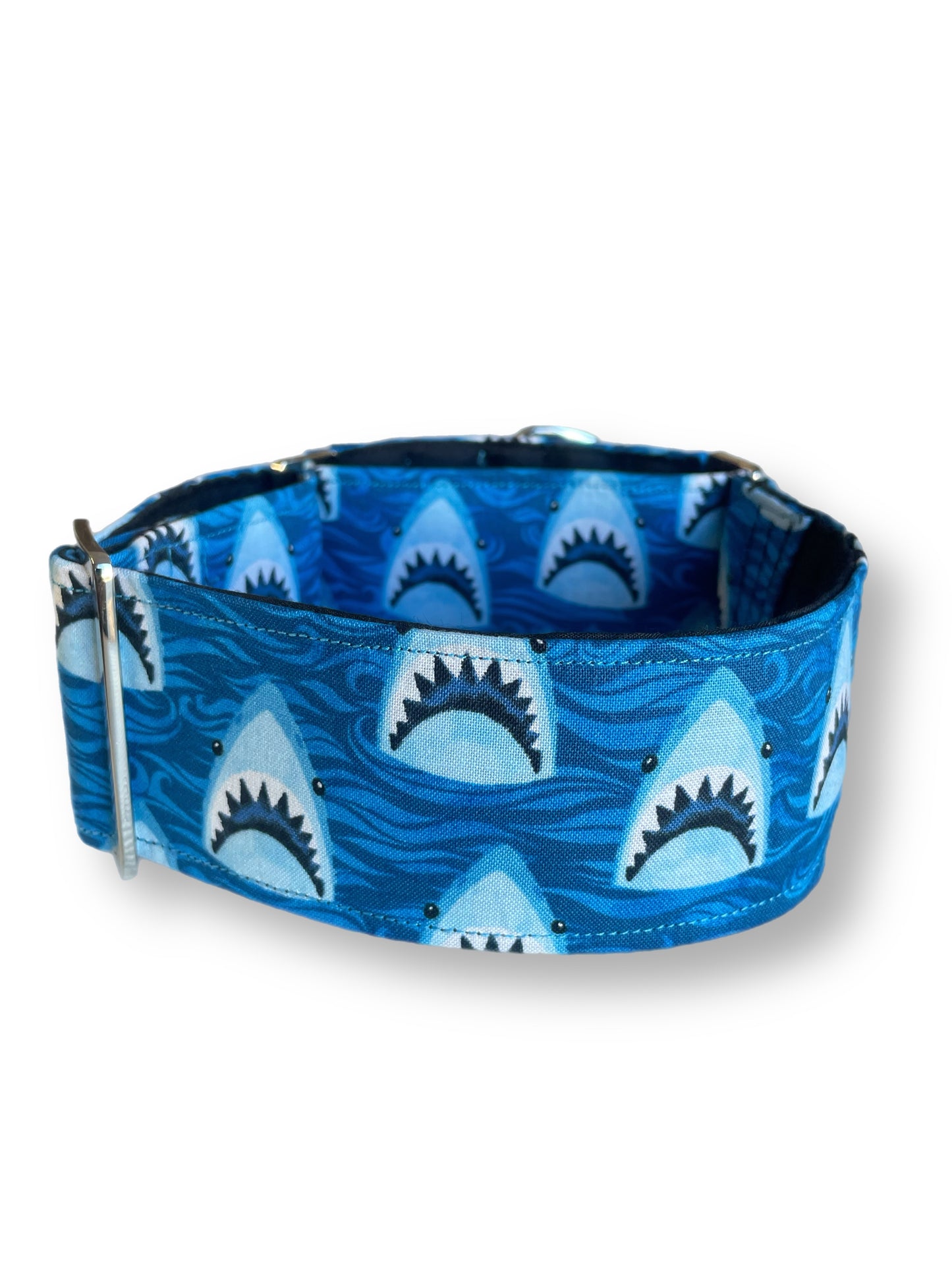 Sharks Greyhound Martingale collar blue cotton covered 50mm width