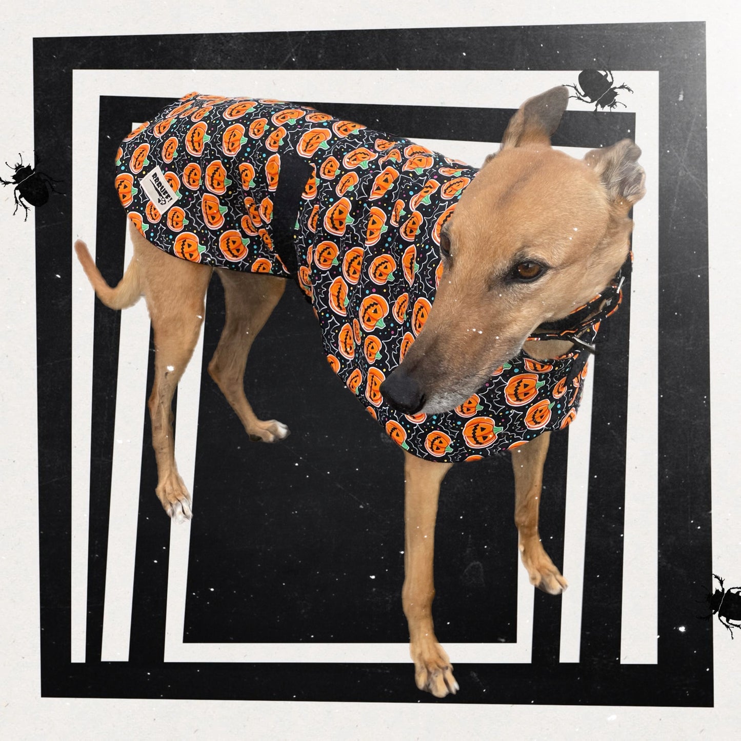 Spooky Halloween fun Greyhound coat design in lightweight cotton and fleece washable