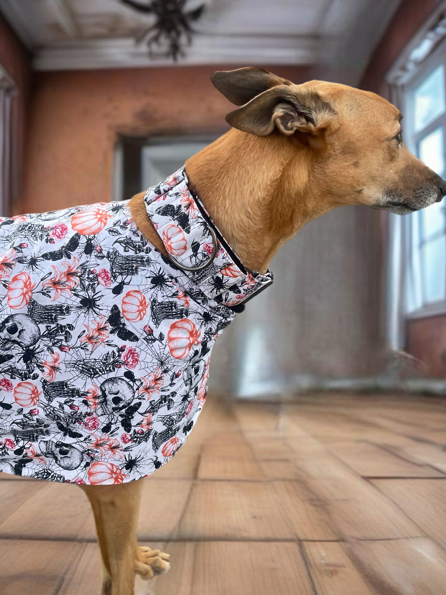 Spooky Halloween fun Greyhound coat design in lightweight cotton and fleece washable