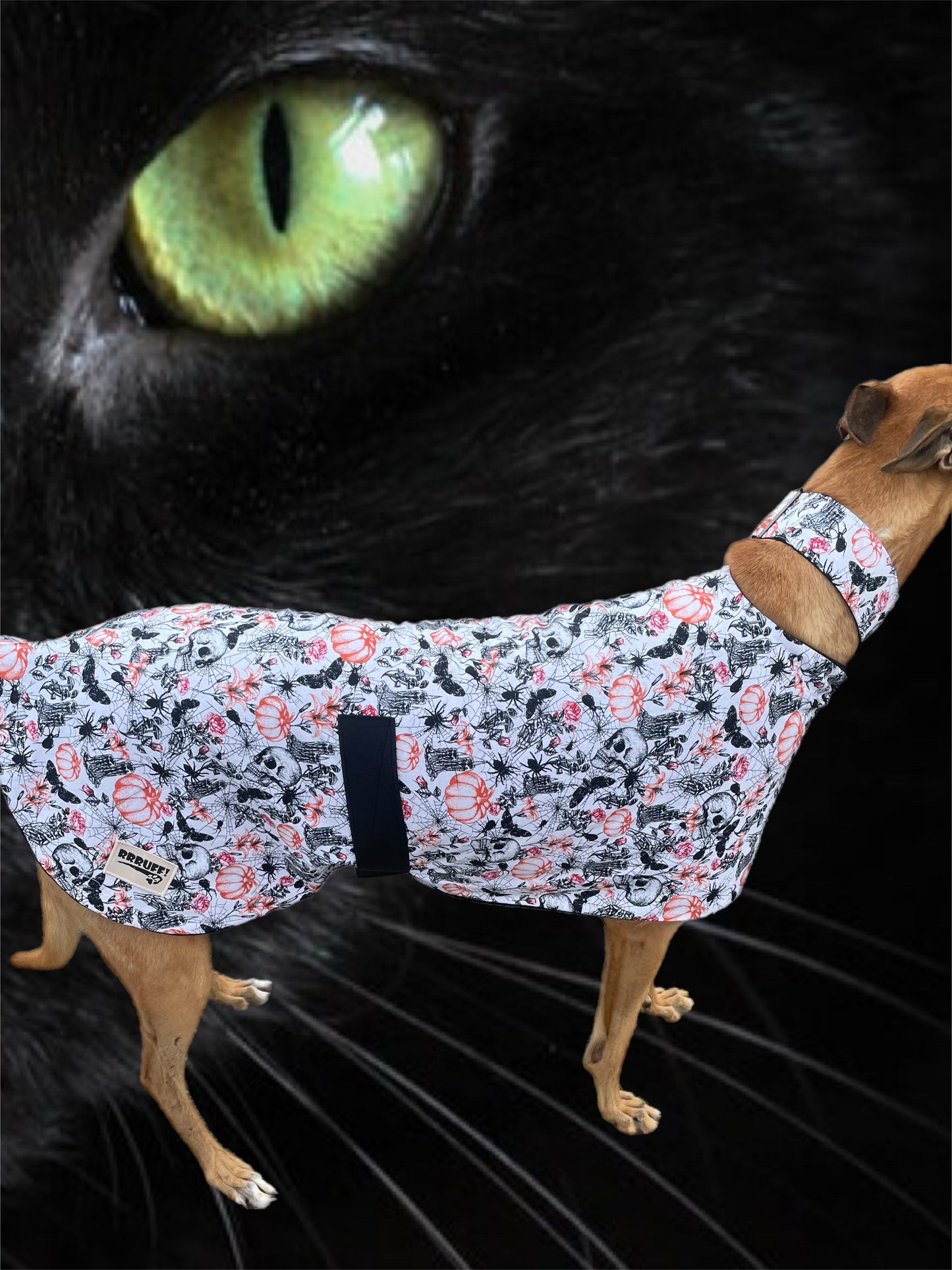 Spooky Halloween fun Greyhound coat design in lightweight cotton and fleece washable