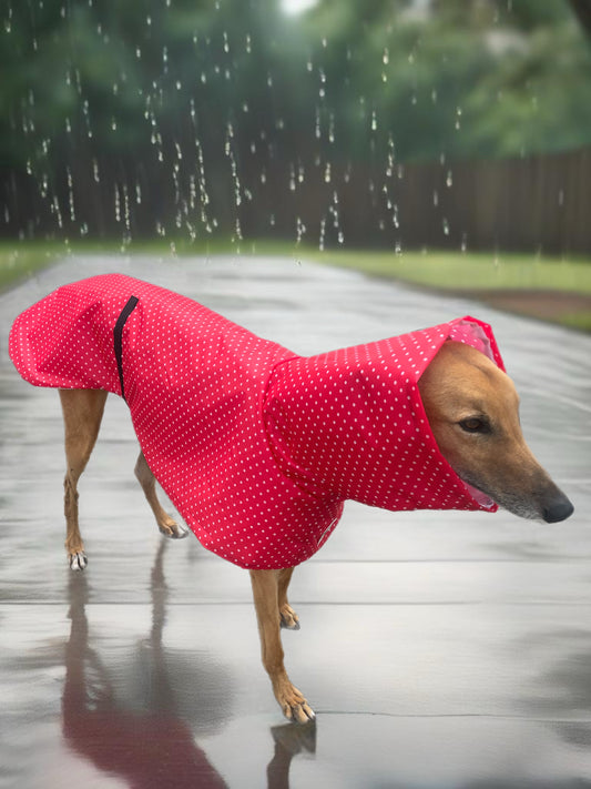 Summer rainwear vibrant red Greyhound deluxe style, spring showers, ultra lightweight