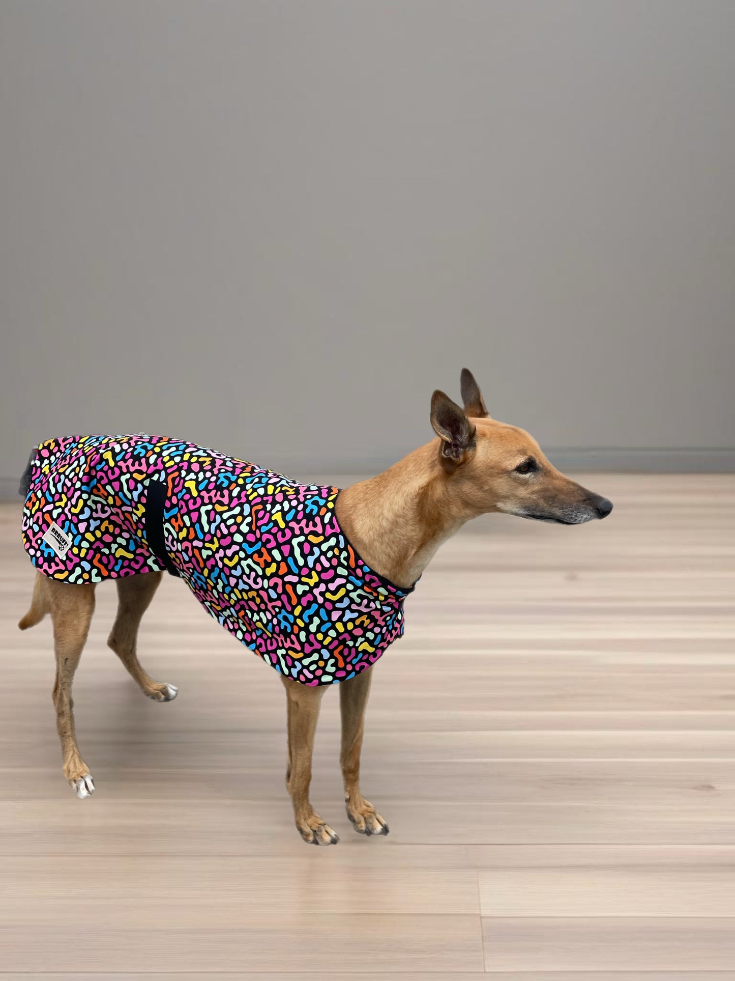 Colorscope classic style Greyhound coat in a lightweight cotton & plush fleece combo washable