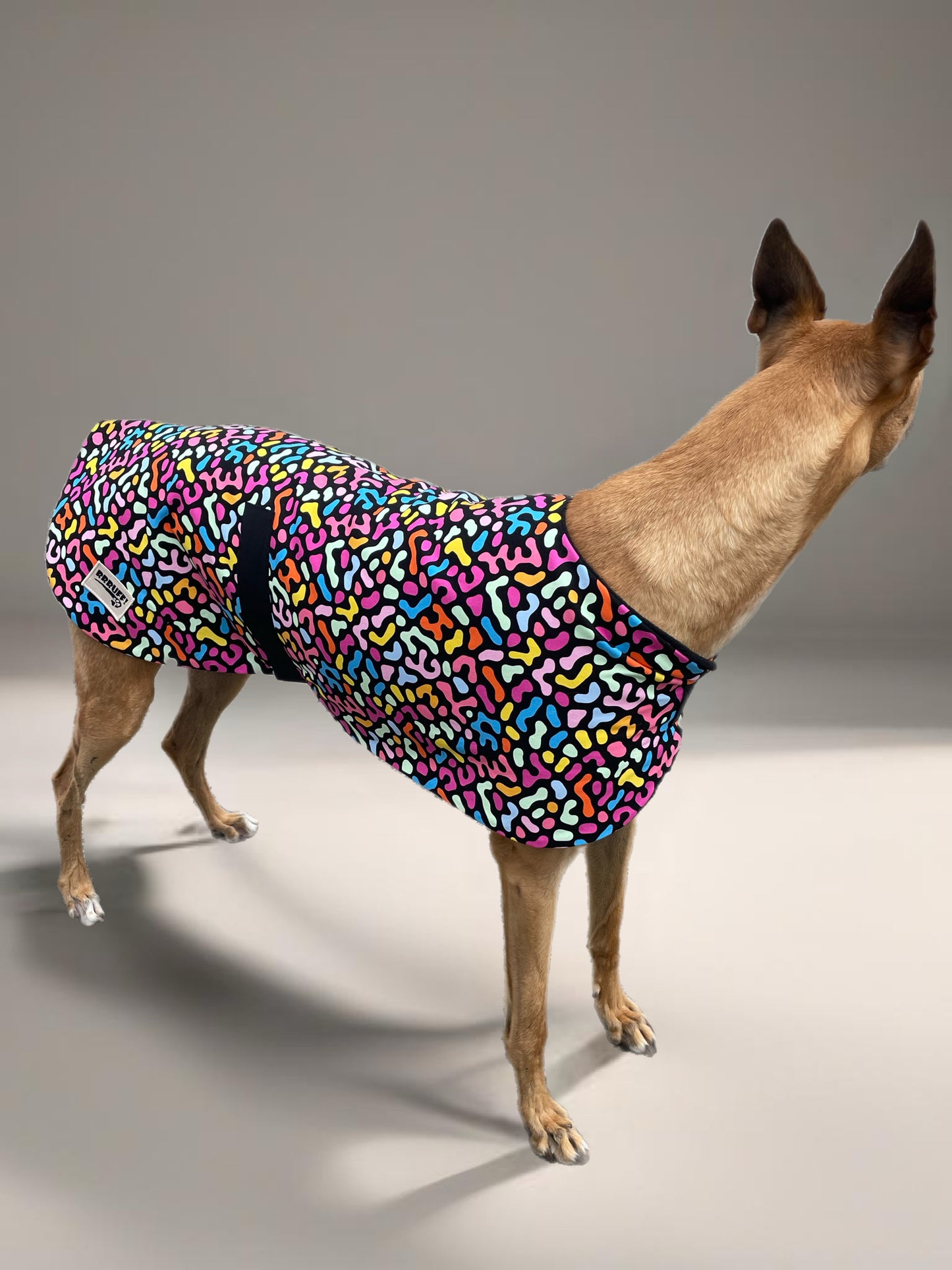 Colorscope classic style Greyhound coat in a lightweight cotton & plush fleece combo washable