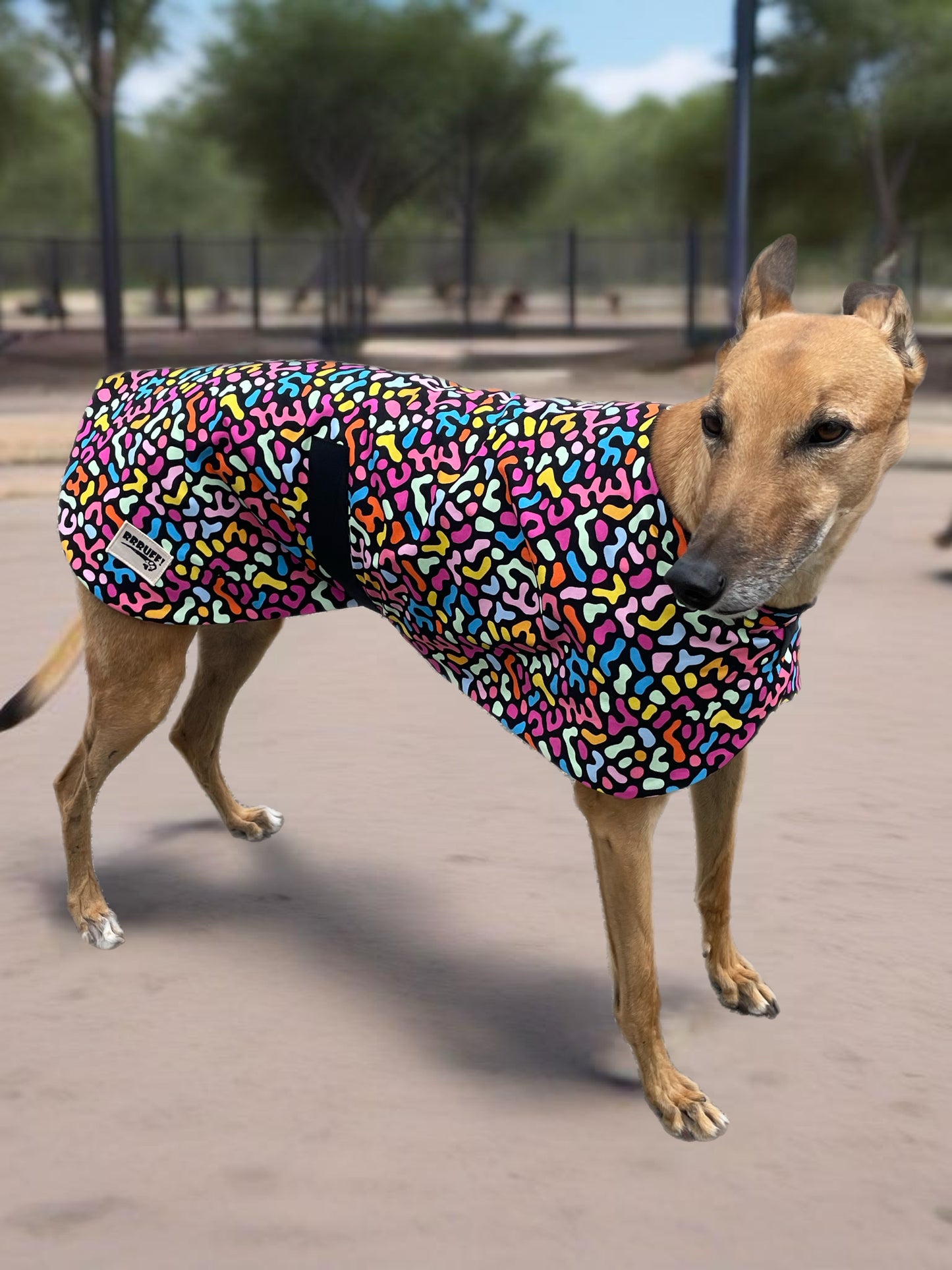 Colorscope classic style Greyhound coat in a lightweight cotton & plush fleece combo washable