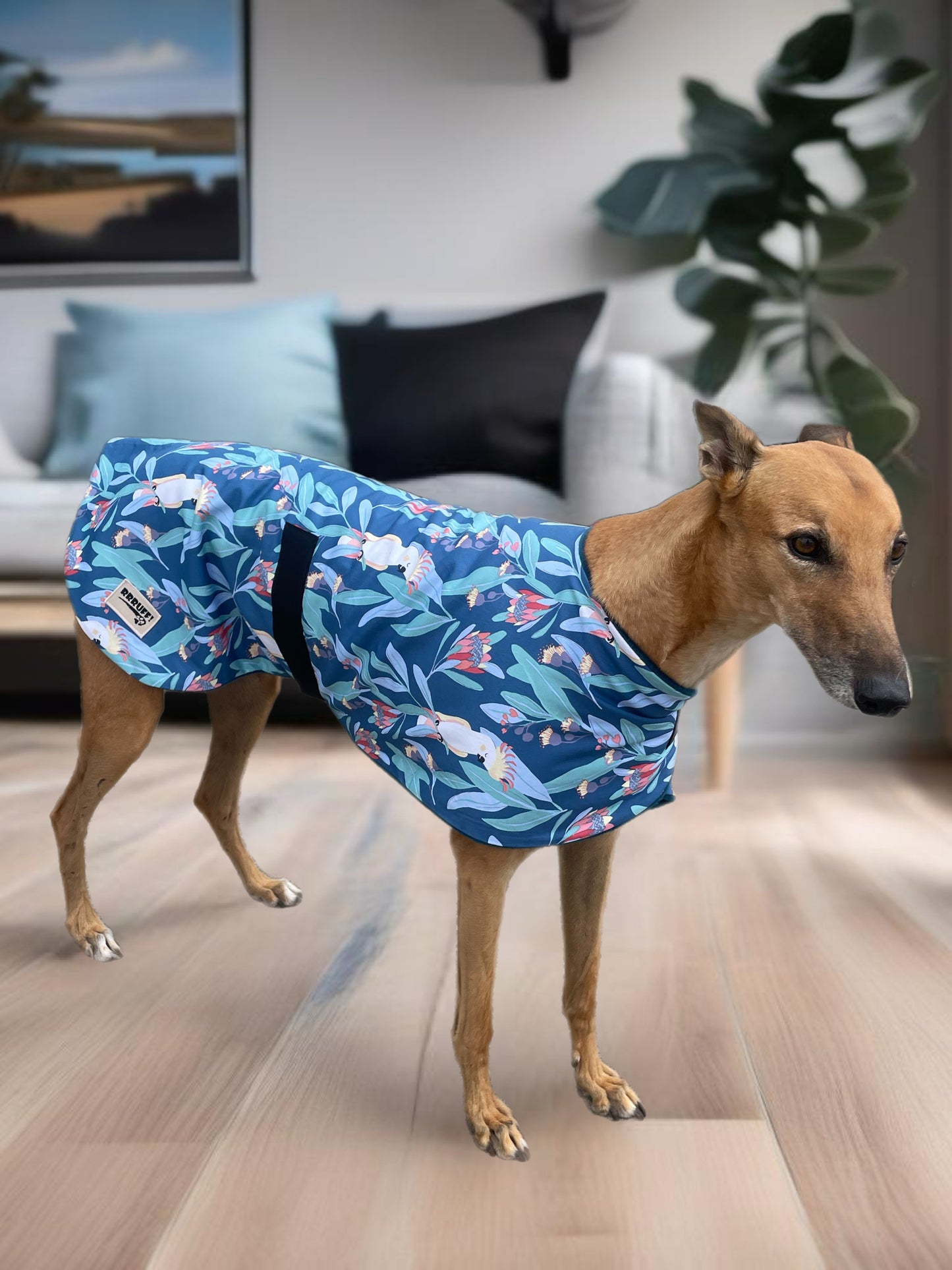 Blue cockatoo Autumn range classic style Greyhound coat in cotton & fleece washable