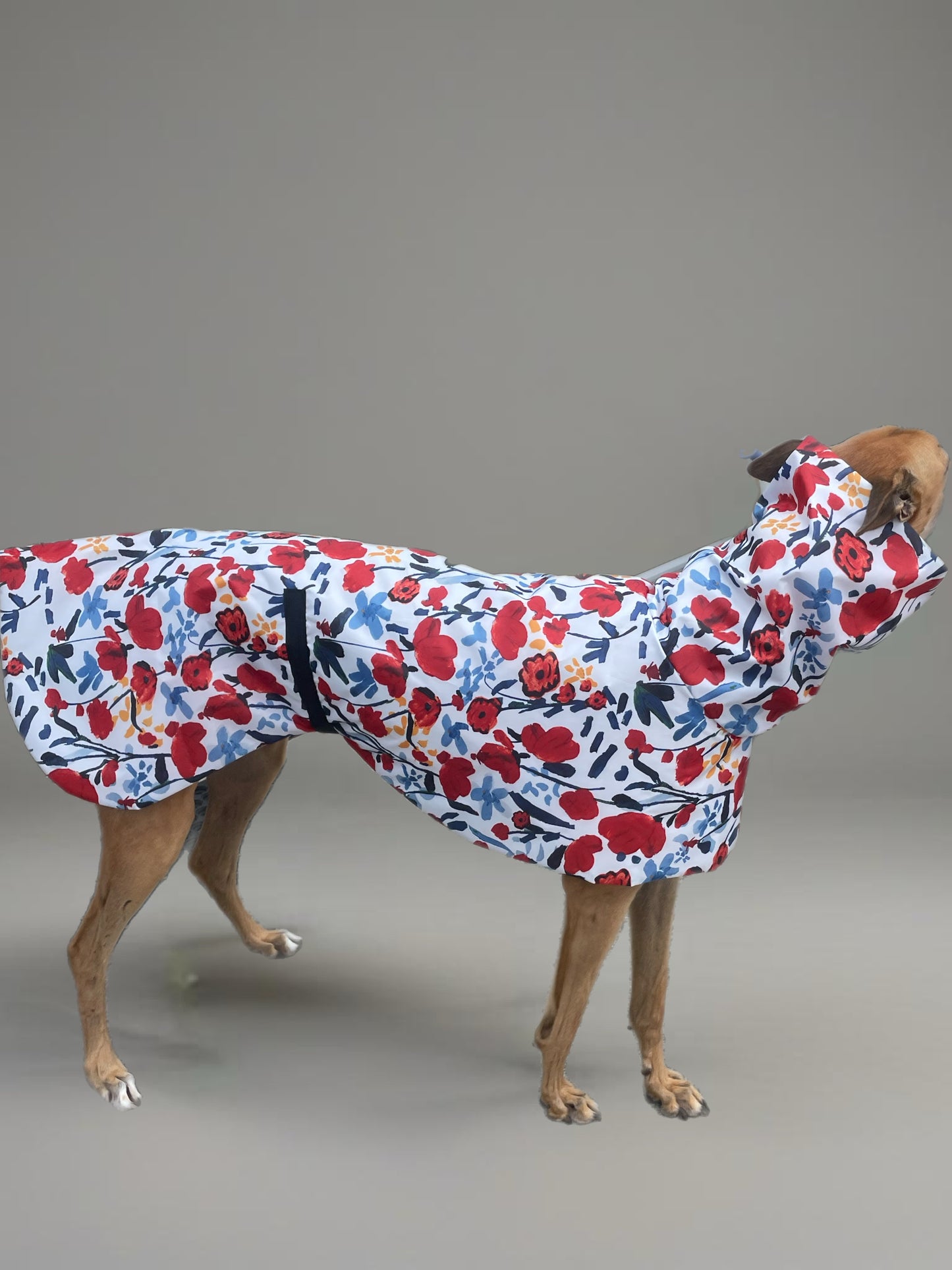 Poppy red Greyhound coat deluxe style, summer rainwear, washable