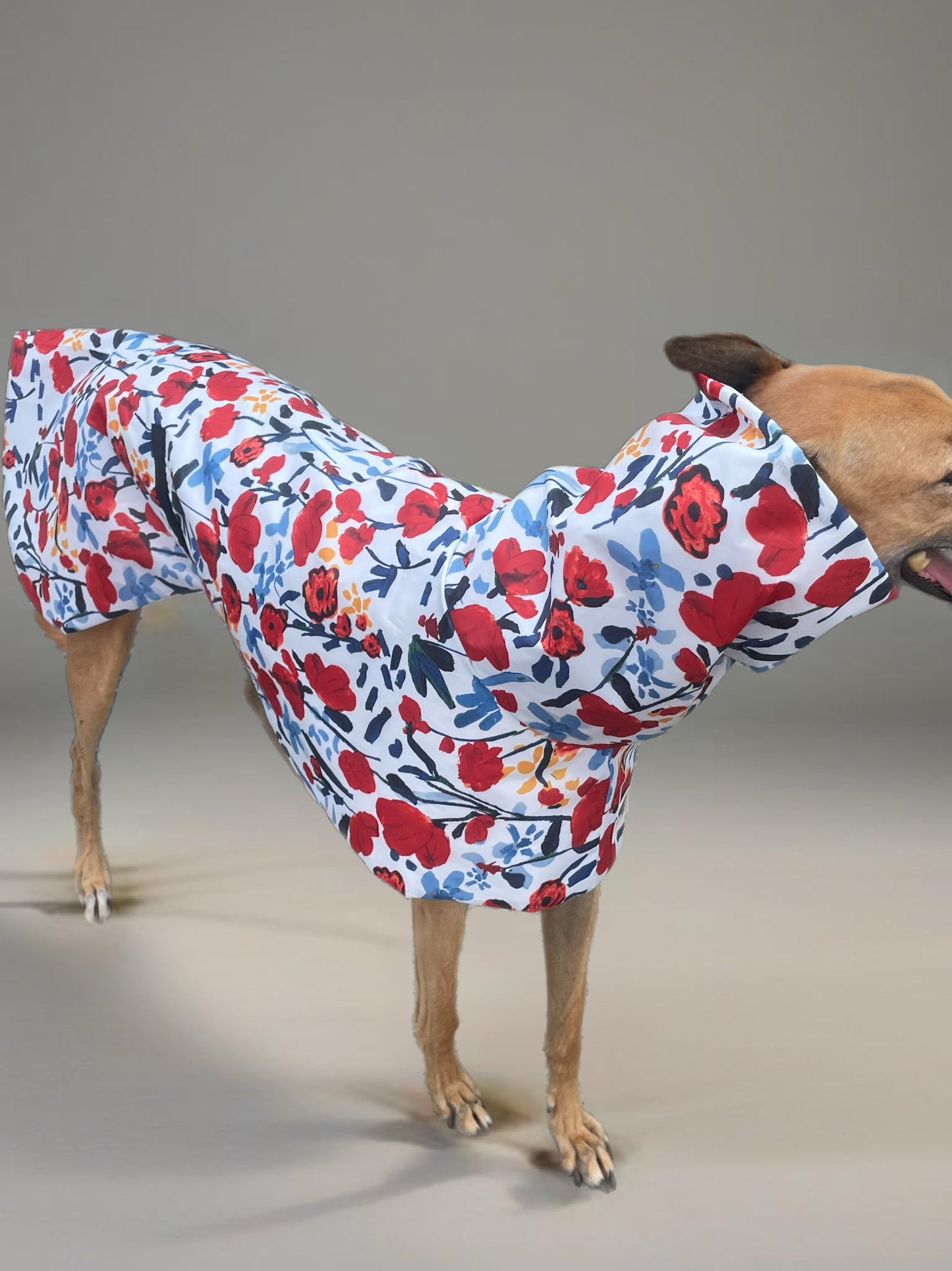 Poppy red Greyhound coat deluxe style, summer rainwear, washable