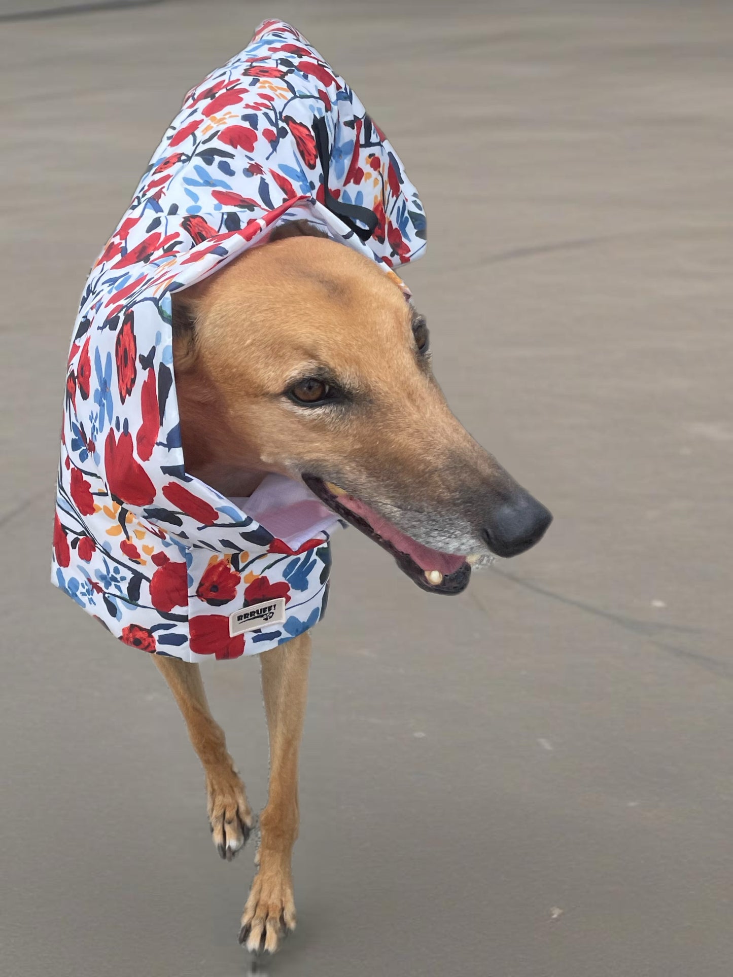 Poppy red Greyhound coat deluxe style, summer rainwear, washable