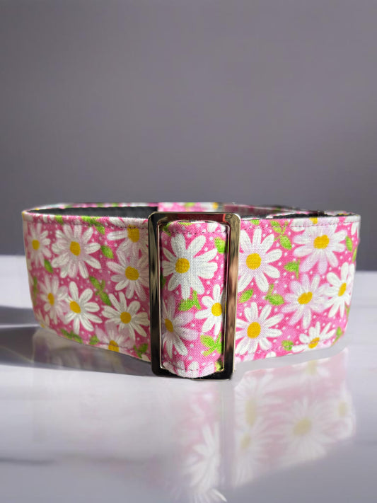 Fresh pink daisies design Cotton covered greyhound Martingale collar wide super soft