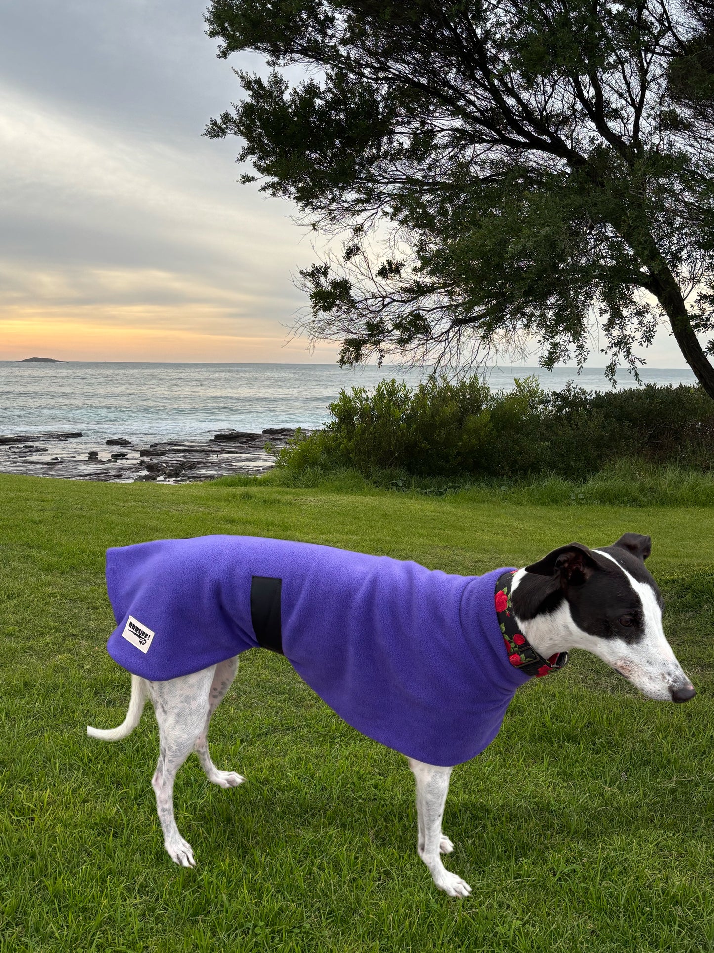 Plush Purple thick and snuggly fleece sports