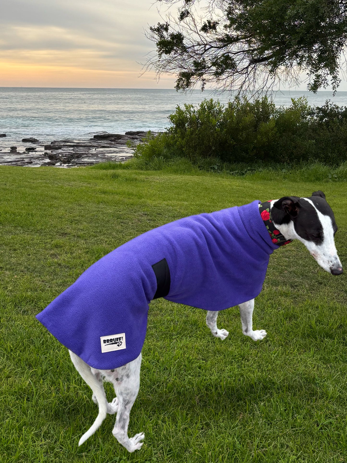 Plush Purple thick and snuggly fleece sports