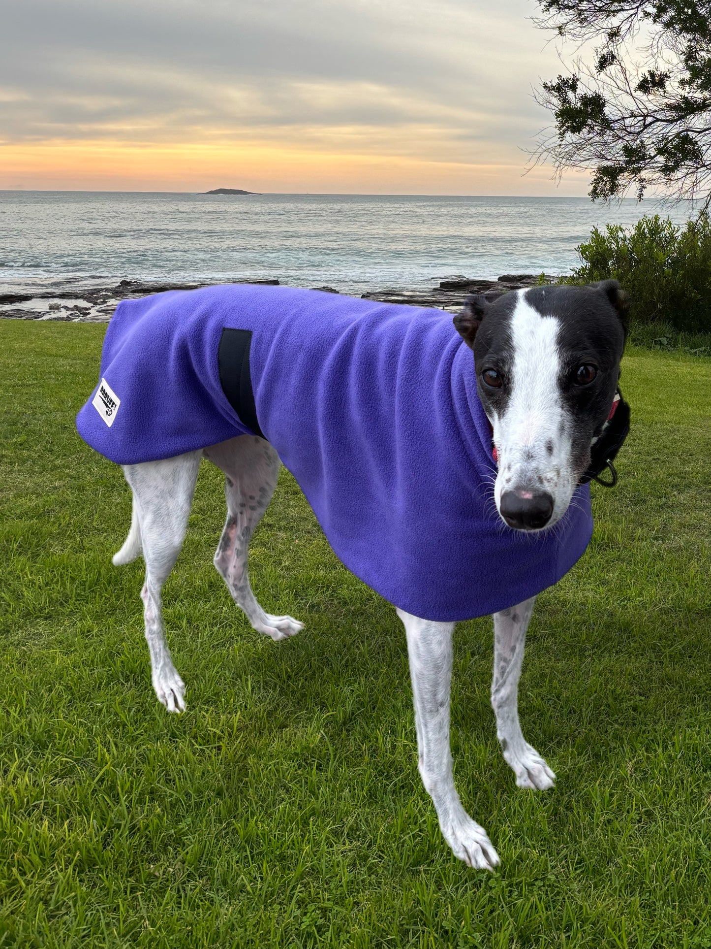 Plush Purple thick and snuggly fleece sports