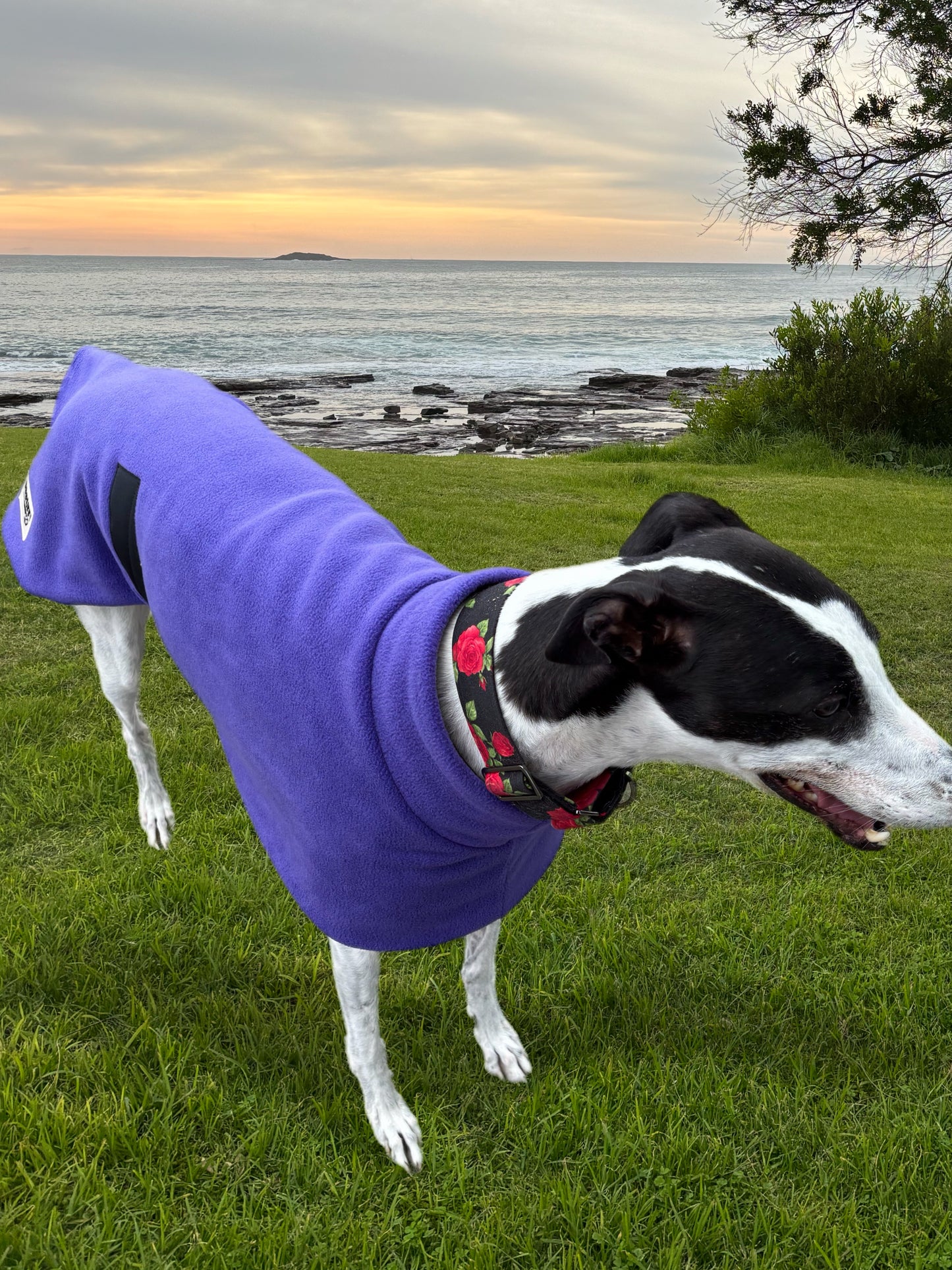 Plush Purple thick and snuggly fleece sports