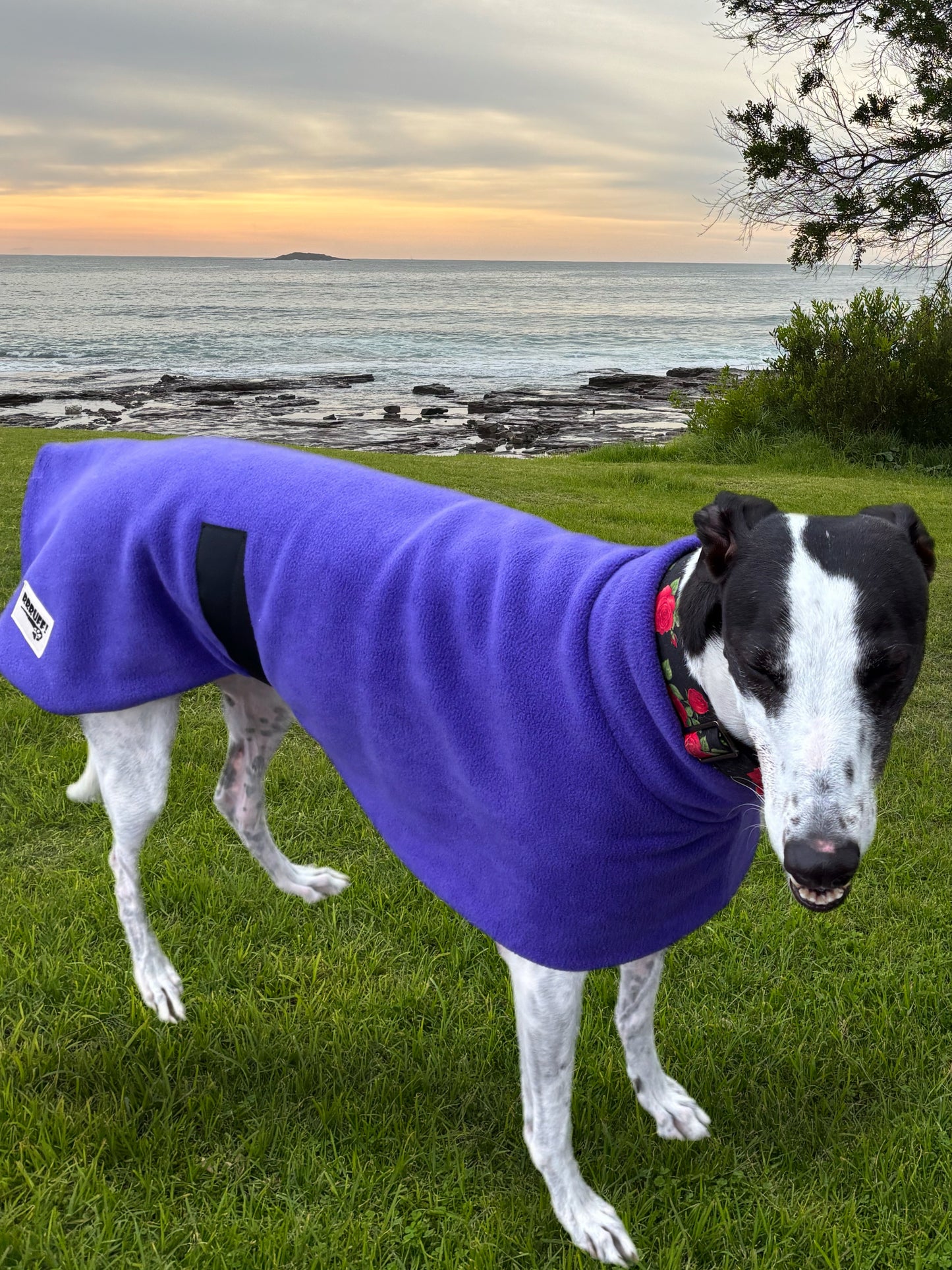 Plush Purple thick and snuggly fleece sports