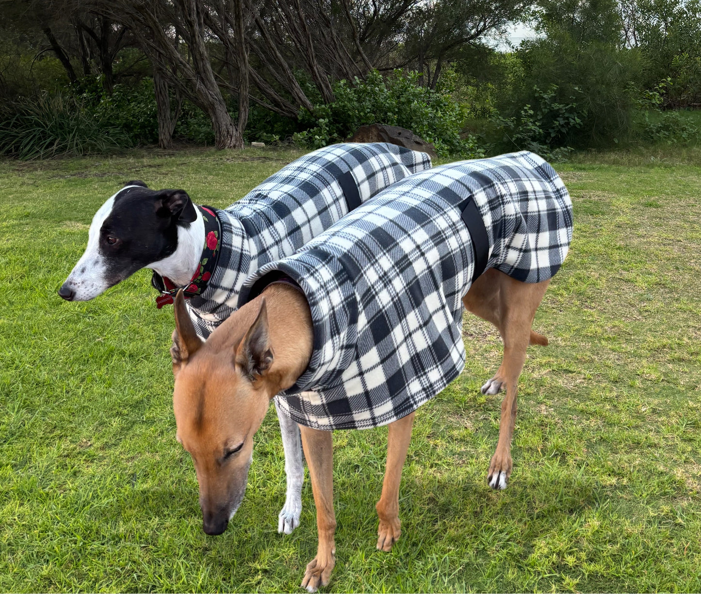 Slate plaid check thick and snuggly fleece sports