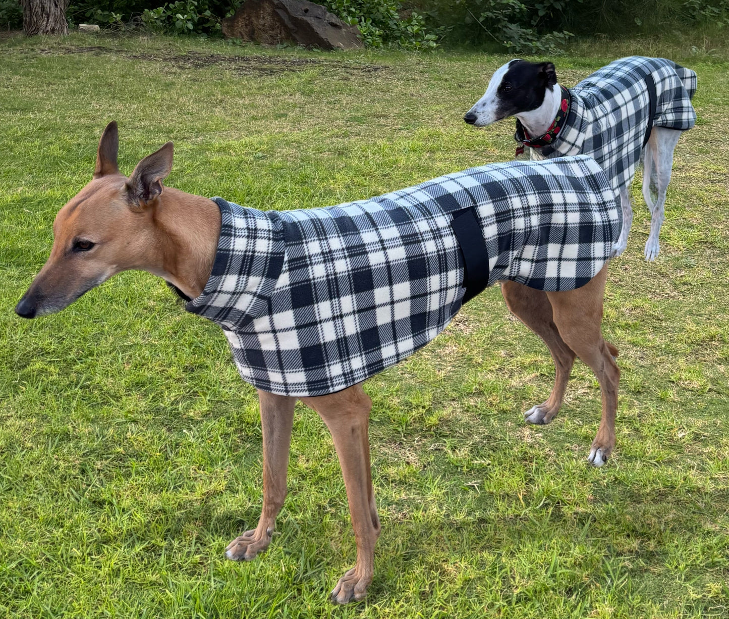 Slate plaid check thick and snuggly fleece sports