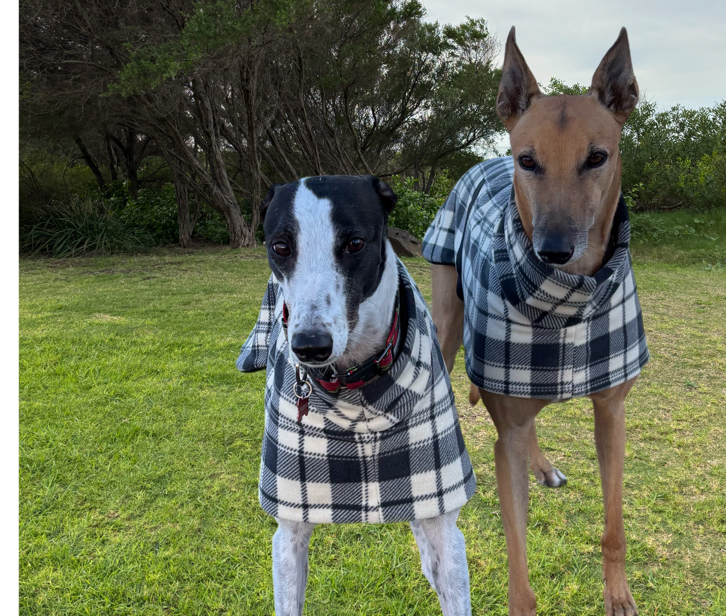 Slate plaid check thick and snuggly fleece sports