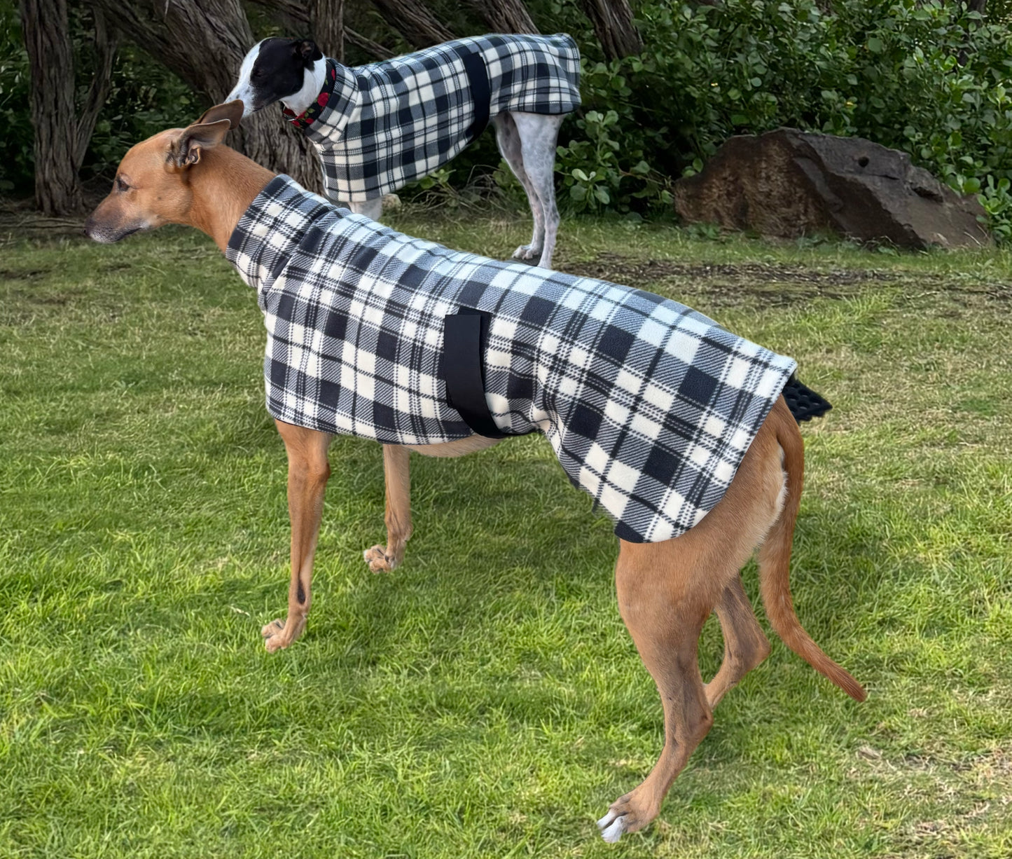 Slate plaid check thick and snuggly fleece sports