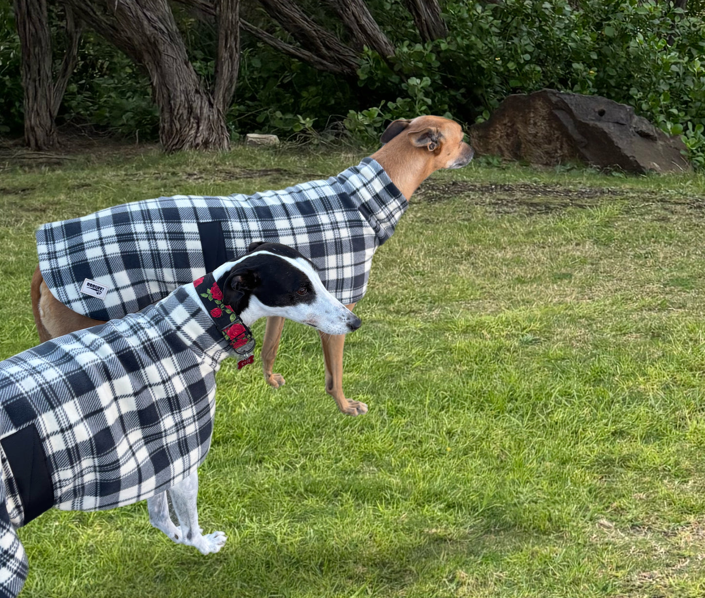 Slate plaid check thick and snuggly fleece sports