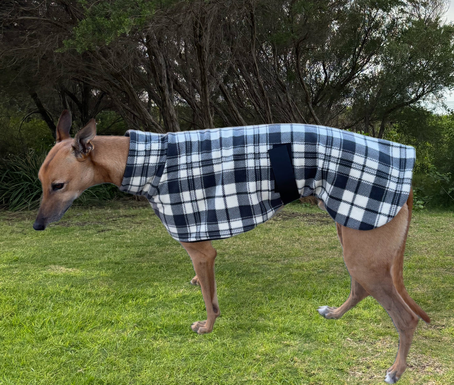 Slate plaid check thick and snuggly fleece sports