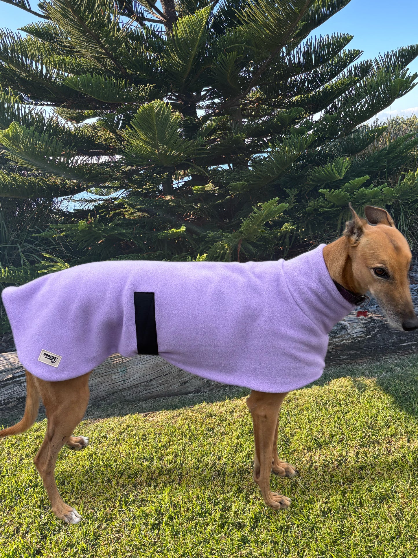 Luscious lilac thick and snuggly fleece sports