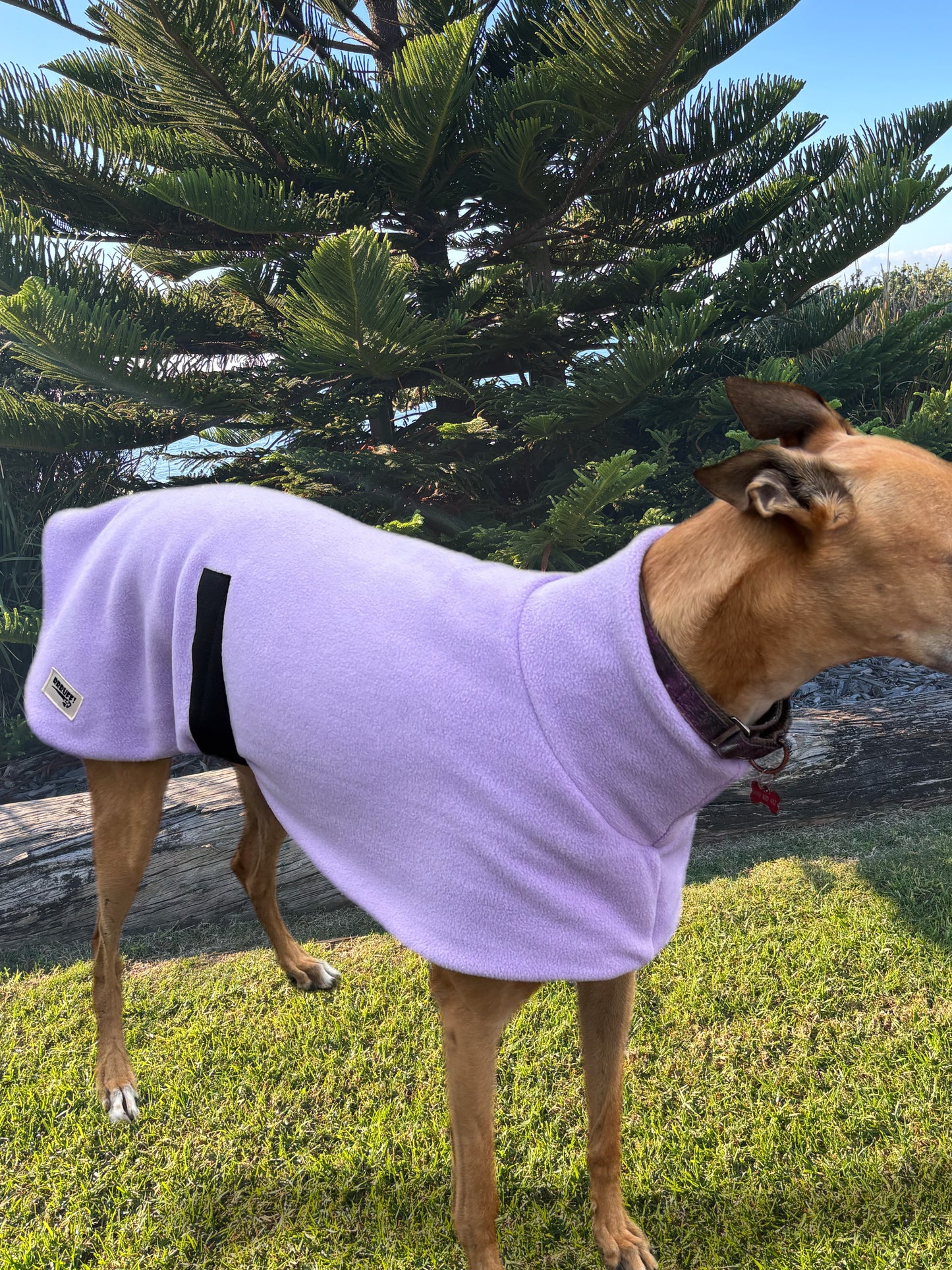 Luscious lilac thick and snuggly fleece sports